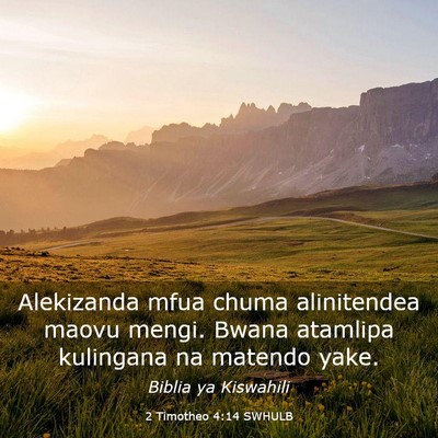 Picture 03 - 2 Timotheo 4:14 SWHULB - Alekizanda mfua chuma alinitendea maovu mengi. - Bible Verse Picture