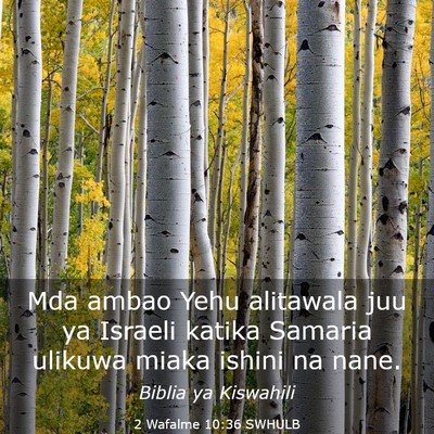 Picture 03 - 2 Wafalme 10:36 SWHULB - Mda ambao Yehu alitawala juu ya Israeli katika - Bible Verse Picture