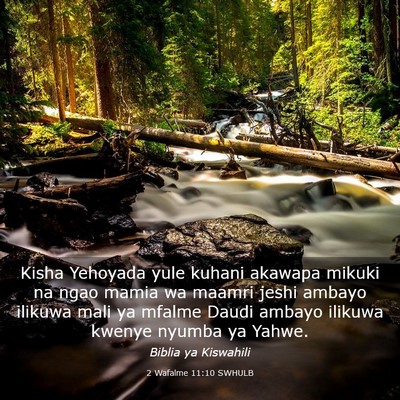 Picture 03 - 2 Wafalme 11:10 SWHULB - Kisha Yehoyada yule kuhani akawapa mikuki na ngao - Bible Verse Picture