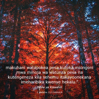 Picture 03 - 2 Wafalme 12:5 SWHULB - makuhani watapokea pesa kutoka miongoni mwa mmoja - Bible Verse Picture