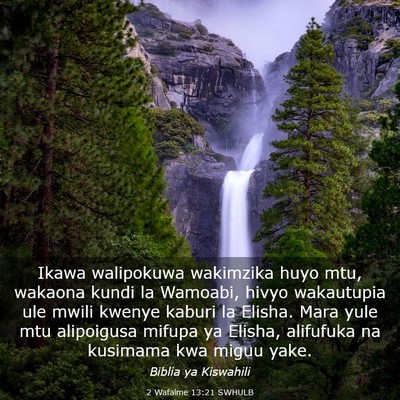Picture 03 - 2 Wafalme 13:21 SWHULB - Ikawa walipokuwa wakimzika huyo mtu, wakaona - Bible Verse Picture