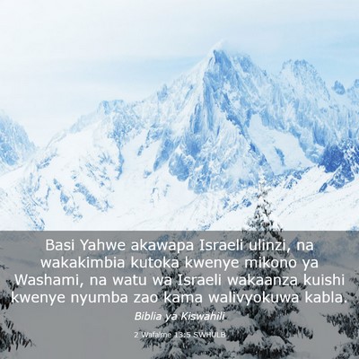 Picture 03 - 2 Wafalme 13:5 SWHULB - Basi Yahwe akawapa Israeli ulinzi, na wakakimbia - Bible Verse Picture