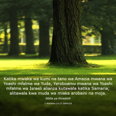Picture 03 - 2 Wafalme 14:23 SWHULB - Katika mwaka wa kumi na tano wa Amazia mwana wa - Bible Verse Picture