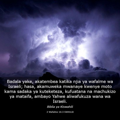 Picture 03 - 2 Wafalme 16:3 SWHULB - Badala yake, akatembea katika njia ya wafalme wa - Bible Verse Picture
