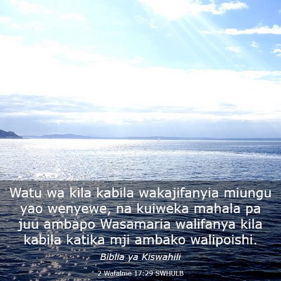 Picture 03 - 2 Wafalme 17:29 SWHULB - Watu wa kila kabila wakajifanyia miungu yao - Bible Verse Picture