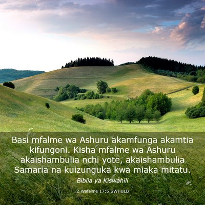 Picture 03 - 2 Wafalme 17:5 SWHULB - Basi mfalme wa Ashuru akamfunga akamtia - Bible Verse Picture