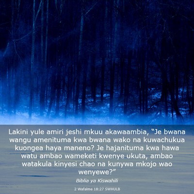 Picture 03 - 2 Wafalme 18:27 SWHULB - Lakini yule amiri jeshi mkuu akawaambia, “Je - Bible Verse Picture