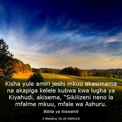 Picture 03 - 2 Wafalme 18:28 SWHULB - Kisha yule amiri jeshi mkuu akasimama na akapiga - Bible Verse Picture