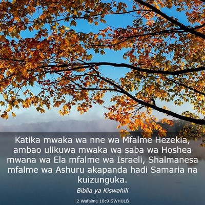 Picture 03 - 2 Wafalme 18:9 SWHULB - Katika mwaka wa nne wa Mfalme Hezekia, ambao - Bible Verse Picture