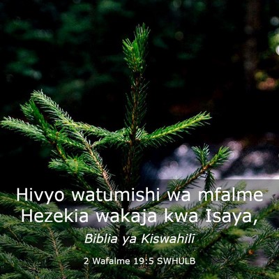 Picture 03 - 2 Wafalme 19:5 SWHULB - Hivyo watumishi wa mfalme Hezekia wakaja kwa - Bible Verse Picture