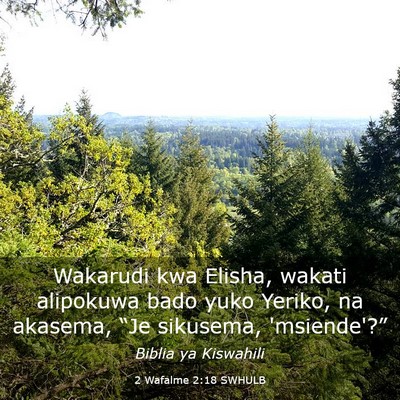 Picture 03 - 2 Wafalme 2:18 SWHULB - Wakarudi kwa Elisha, wakati alipokuwa bado yuko - Bible Verse Picture