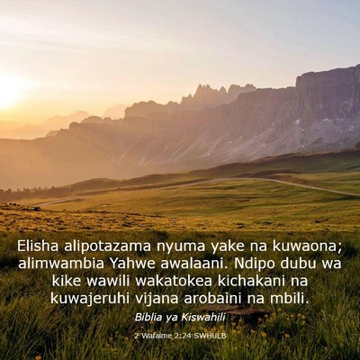 Picture 03 - 2 Wafalme 2:24 SWHULB - Elisha alipotazama nyuma yake na kuwaona; - Bible Verse Picture