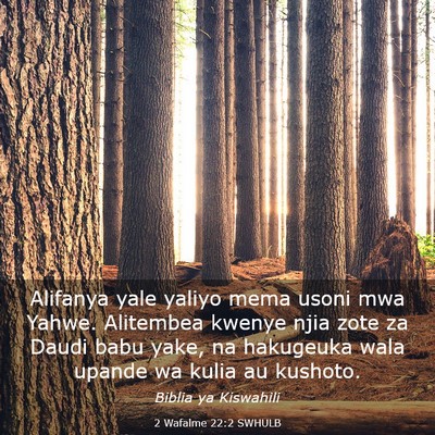 Picture 03 - 2 Wafalme 22:2 SWHULB - Alifanya yale yaliyo mema usoni mwa Yahwe. - Bible Verse Picture