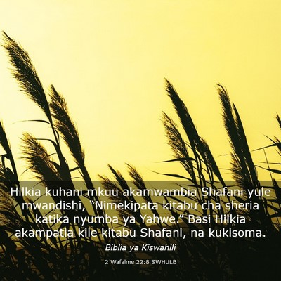 Picture 03 - 2 Wafalme 22:8 SWHULB - Hilkia kuhani mkuu akamwambia Shafani yule - Bible Verse Picture