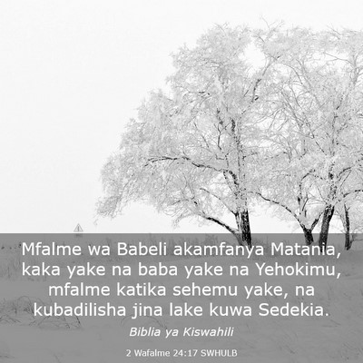 Picture 03 - 2 Wafalme 24:17 SWHULB - Mfalme wa Babeli akamfanya Matania, kaka yake na - Bible Verse Picture