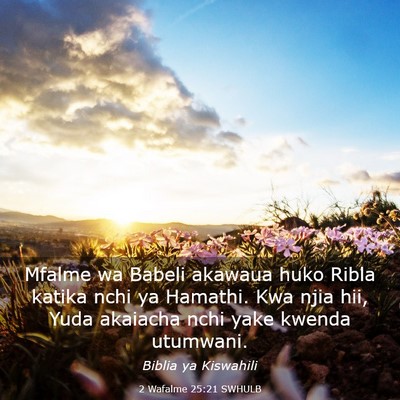 Picture 03 - 2 Wafalme 25:21 SWHULB - Mfalme wa Babeli akawaua huko Ribla katika nchi - Bible Verse Picture