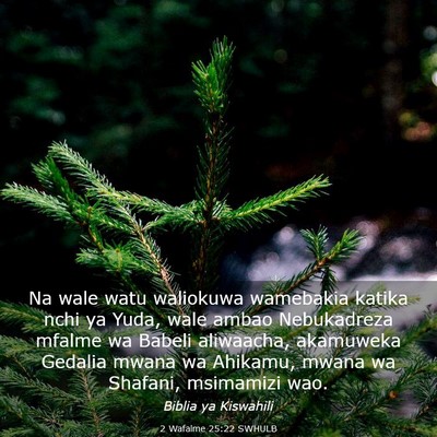 Picture 03 - 2 Wafalme 25:22 SWHULB - Na wale watu waliokuwa wamebakia katika nchi ya - Bible Verse Picture