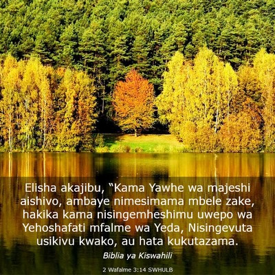 Picture 03 - 2 Wafalme 3:14 SWHULB - Elisha akajibu, “Kama Yawhe wa majeshi aishivo, - Bible Verse Picture