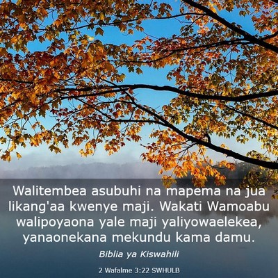 Picture 03 - 2 Wafalme 3:22 SWHULB - Walitembea asubuhi na mapema na jua likang'aa - Bible Verse Picture