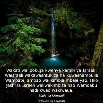 Picture 03 - 2 Wafalme 3:24 SWHULB - Wakati walipokuja kwenye kambi ya Israeli, - Bible Verse Picture