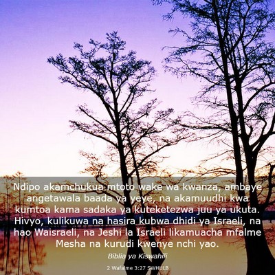 Picture 03 - 2 Wafalme 3:27 SWHULB - Ndipo akamchukua mtoto wake wa kwanza, ambaye - Bible Verse Picture