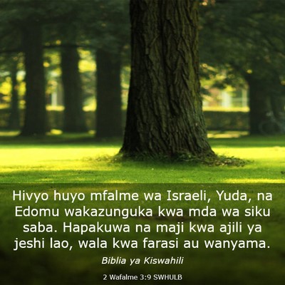 Picture 03 - 2 Wafalme 3:9 SWHULB - Hivyo huyo mfalme wa Israeli, Yuda, na Edomu - Bible Verse Picture