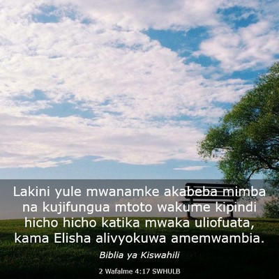 Picture 03 - 2 Wafalme 4:17 SWHULB - Lakini yule mwanamke akabeba mimba na kujifungua - Bible Verse Picture