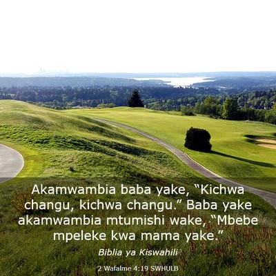 Picture 03 - 2 Wafalme 4:19 SWHULB - Akamwambia baba yake, “Kichwa changu, kichwa - Bible Verse Picture