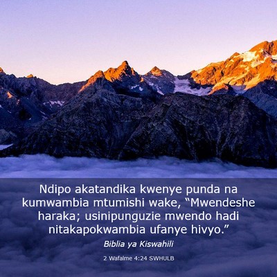 Picture 03 - 2 Wafalme 4:24 SWHULB - Ndipo akatandika kwenye punda na kumwambia - Bible Verse Picture