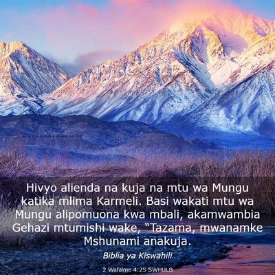 Picture 03 - 2 Wafalme 4:25 SWHULB - Hivyo alienda na kuja na mtu wa Mungu katika - Bible Verse Picture