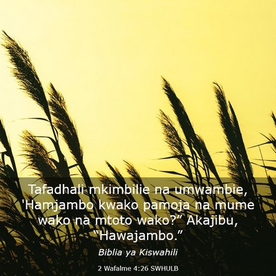 Picture 03 - 2 Wafalme 4:26 SWHULB - Tafadhali mkimbilie na umwambie, 'Hamjambo kwako - Bible Verse Picture