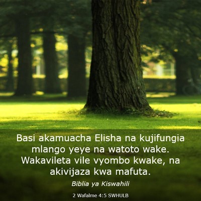 Picture 03 - 2 Wafalme 4:5 SWHULB - Basi akamuacha Elisha na kujifungia mlango yeye - Bible Verse Picture