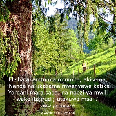 Picture 03 - 2 Wafalme 5:10 SWHULB - Elisha akamtumia mjumbe, akisema, “Nenda na - Bible Verse Picture