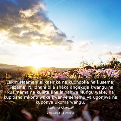 Picture 03 - 2 Wafalme 5:11 SWHULB - Lakini Naamani alikasirika na kuondoka na kusema, - Bible Verse Picture