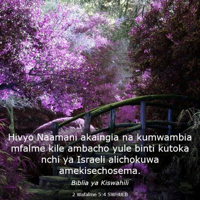 Picture 03 - 2 Wafalme 5:4 SWHULB - Hivyo Naamani akaingia na kumwambia mfalme kile - Bible Verse Picture