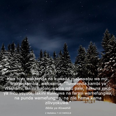 Picture 03 - 2 Wafalme 7:10 SWHULB - Kwa hiyo wakaenda na kuwaita mabawabu wa mji. - Bible Verse Picture
