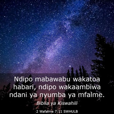 Picture 03 - 2 Wafalme 7:11 SWHULB - Ndipo mabawabu wakatoa habari, ndipo wakaambiwa - Bible Verse Picture