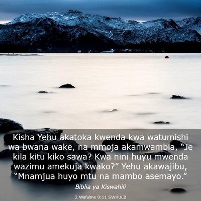 Picture 03 - 2 Wafalme 9:11 SWHULB - Kisha Yehu akatoka kwenda kwa watumishi wa bwana - Bible Verse Picture