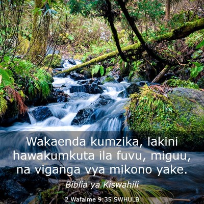 Picture 03 - 2 Wafalme 9:35 SWHULB - Wakaenda kumzika, lakini hawakumkuta ila fuvu, - Bible Verse Picture