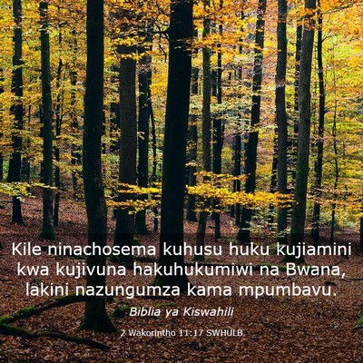 Picture 03 - 2 Wakorintho 11:17 SWHULB - Kile ninachosema kuhusu huku kujiamini kwa - Bible Verse Picture