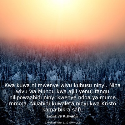 Picture 03 - 2 Wakorintho 11:2 SWHULB - Kwa kuwa ni mwenye wivu kuhusu ninyi. Nina wivu - Bible Verse Picture