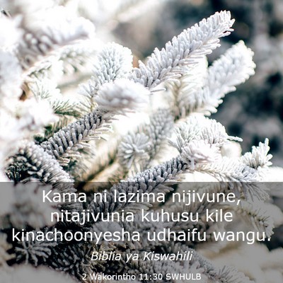 Picture 03 - 2 Wakorintho 11:30 SWHULB - Kama ni lazima nijivune, nitajivunia kuhusu kile - Bible Verse Picture