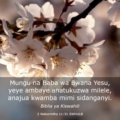 Picture 03 - 2 Wakorintho 11:31 SWHULB - Mungu na Baba wa Bwana Yesu, yeye ambaye - Bible Verse Picture