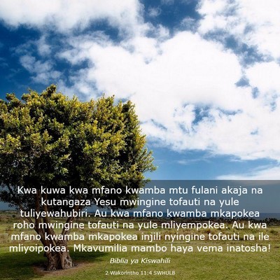 Picture 03 - 2 Wakorintho 11:4 SWHULB - Kwa kuwa kwa mfano kwamba mtu fulani akaja na - Bible Verse Picture