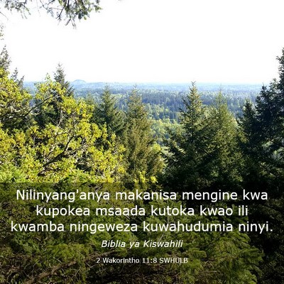 Picture 03 - 2 Wakorintho 11:8 SWHULB - Nilinyang'anya makanisa mengine kwa kupokea - Bible Verse Picture