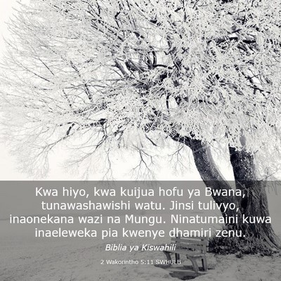 Picture 03 - 2 Wakorintho 5:11 SWHULB - Kwa hiyo, kwa kuijua hofu ya Bwana, - Bible Verse Picture