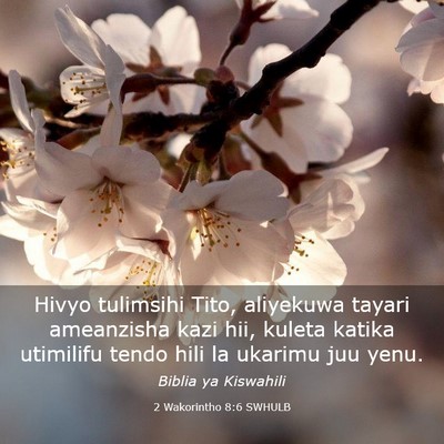 Picture 03 - 2 Wakorintho 8:6 SWHULB - Hivyo tulimsihi Tito, aliyekuwa tayari ameanzisha - Bible Verse Picture