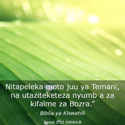 Picture 03 - Amosi 1:12 SWHULB - Nitapeleka moto juu ya Temani, na utaziteketeza - Bible Verse Picture