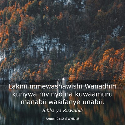 Picture 03 - Amosi 2:12 SWHULB - Lakini mmewashawishi Wanadhiri kunywa mvinyo na - Bible Verse Picture