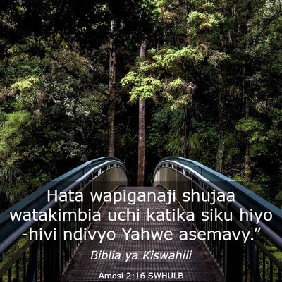 Picture 03 - Amosi 2:16 SWHULB - Hata wapiganaji shujaa watakimbia uchi katika - Bible Verse Picture